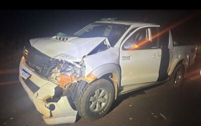 Imagem da notícia Colisão com animal na MS-357, saída para Camapuã, termina sem feridos